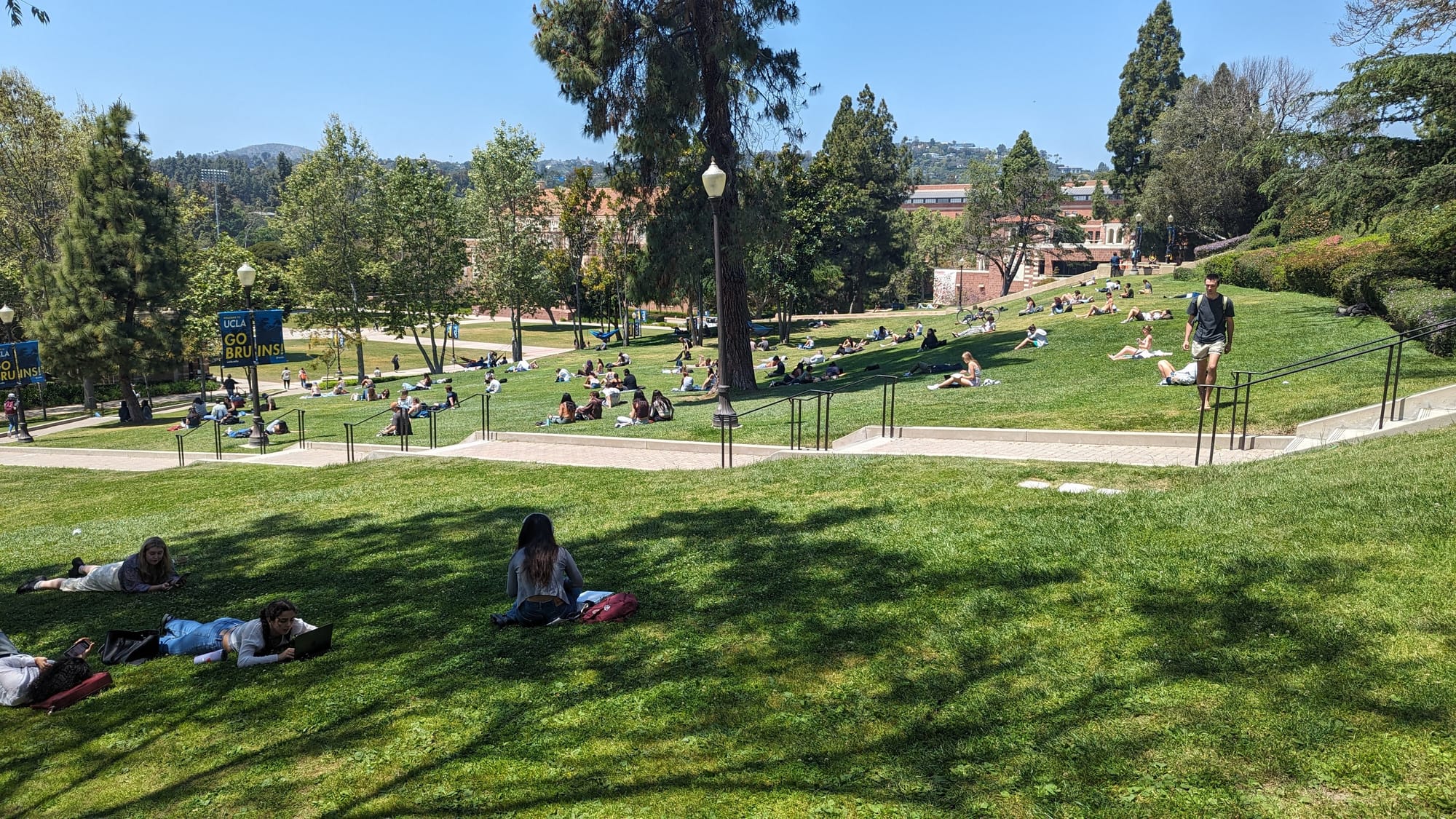 Photo of a grassy hill with people laying 